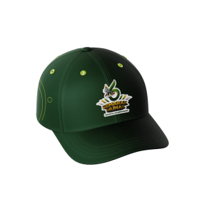 Topi