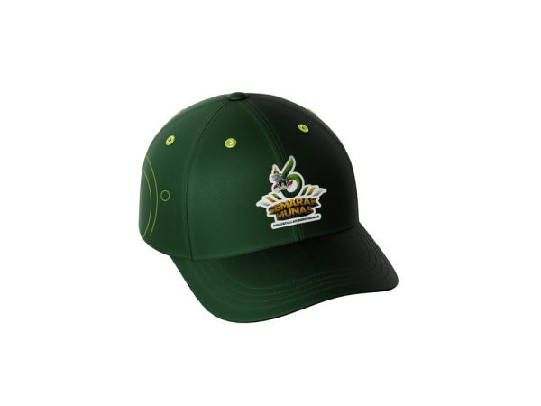 Topi